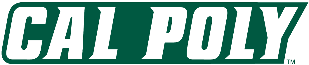 Cal Poly Mustangs 1999-Pres Wordmark Logo v2 diy iron on heat transfer